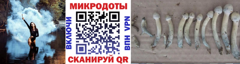 даркнет сайт  Хадыженск  Галлюциногенные грибы Cubensis 